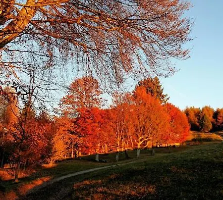 Da Tullio Herberg 3*